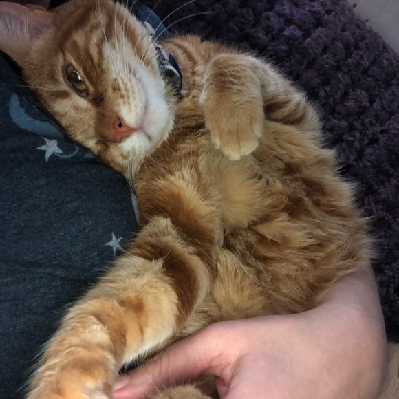 Meet Analise!!! - Picture 6 of 10